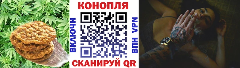 купить  сайты  Волчанск  blacksprut ТОР  Cannafood конопля 